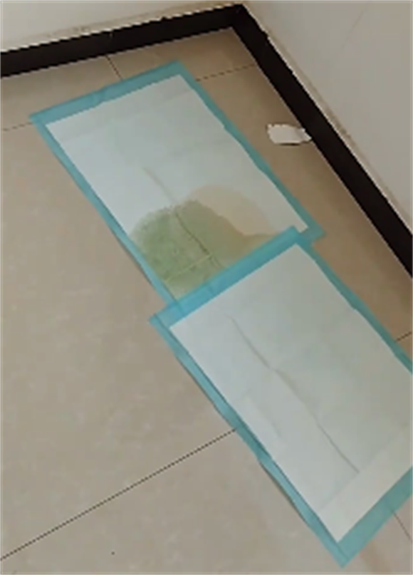 宠德多宠物尿垫多久换一次 宠德多宠物尿垫多久换一次