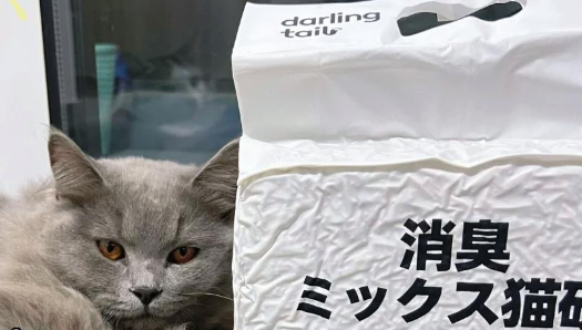 猫砂新宠！值又DARLING TAIL猫砂超值又高效