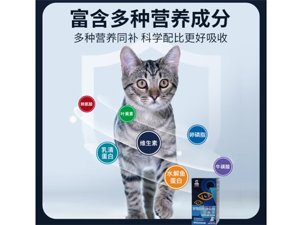 宠彤心怎么样