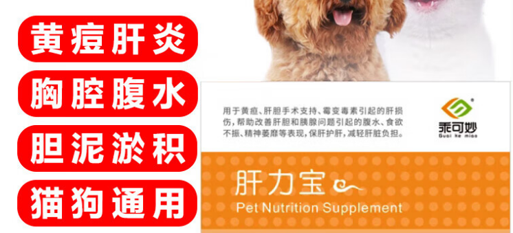 乖可妙肝力宝到哪买