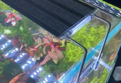 亚垚森水草灯一天开几小时