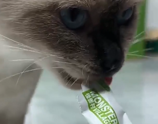 猫咪可以吃怪兽村赖氨酸乳铁蛋白吗？