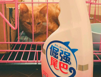 养猫必备：倔强尾巴除臭喷雾推荐