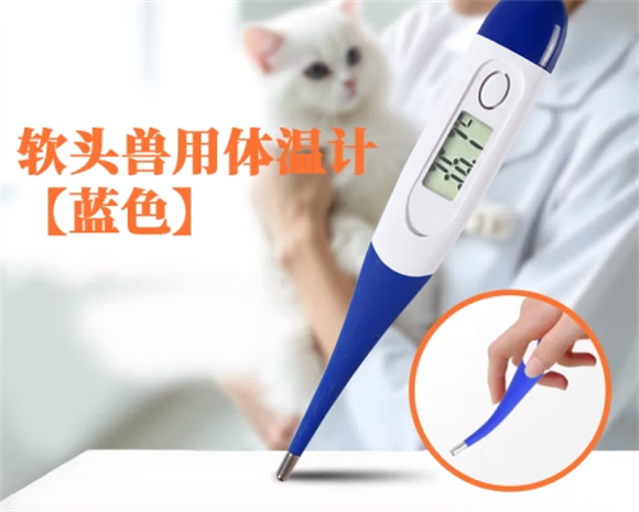 京霁宠物温度计：守护家养宠物健康的必备神器