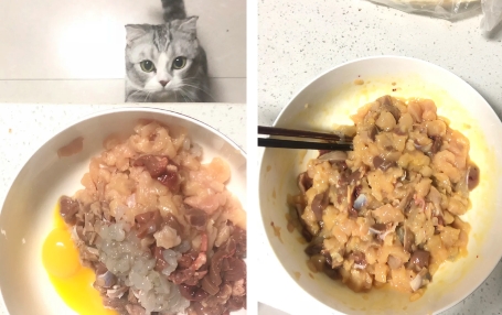 SIEE猫饭好不好