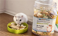 小仓鼠吃什么东西可以磨牙