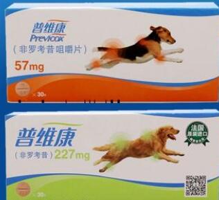 普维康非罗考昔咀嚼片连吃几天 普维康非罗考昔咀嚼片连吃几天