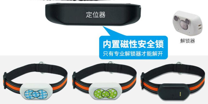 养狗防丢指南：聚宝源狗狗定位器