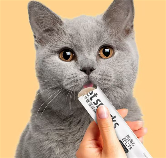 森林松鼠猫条正规吗