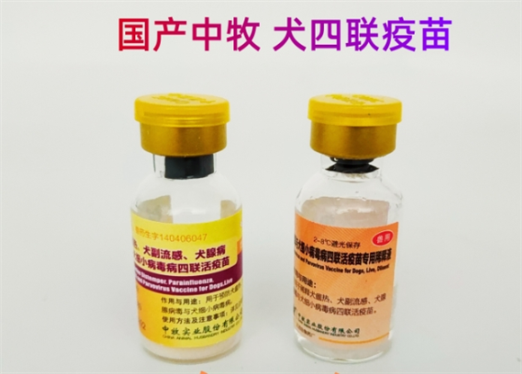 中牧宠物疫苗三联是什么意思 中牧宠物疫苗三联是什么意思
