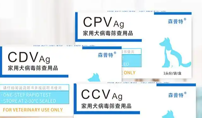 森普特宠物试纸：开启宠物健康检测新时代