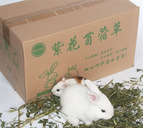 朗缤苜蓿草，小宠健康成长的得力得力助手