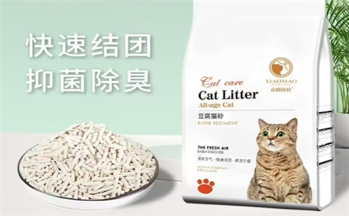 小猫班长