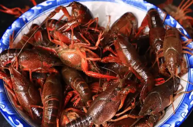 活龙虾要怎么保存