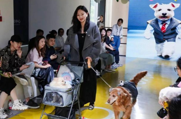 杭州举办宠物时装周 拥抱“黑科技”弄潮“它时尚” 杭州举办宠物时装周 拥抱“黑科技”弄潮“它时尚”