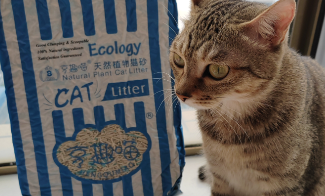 多重技术加持，造卓亨趣喵猫砂打造卓越性能