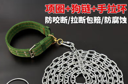 栗好嘉狗链子可以带上高铁吗 栗好嘉狗链子可以带上高铁吗
