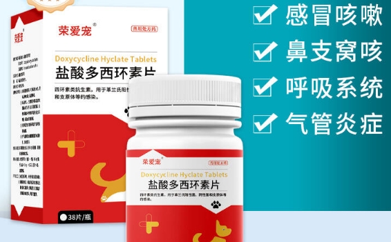 荣爱宠这个牌子药怎么样 荣爱宠这个牌子药怎么样