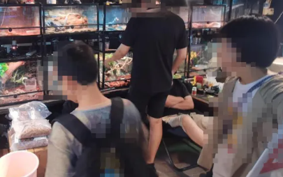 隐蔽的“宠物蛇产业链” 隐蔽的“宠物蛇产业链”