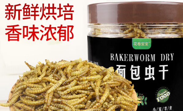 花卷宝宝仓鼠粮可以喂鹦鹉吗 花卷宝宝仓鼠粮可以喂鹦鹉吗