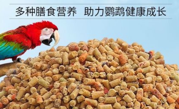 岸舍灰鹦鹉粮是什么档次 岸舍灰鹦鹉粮是什么档次
