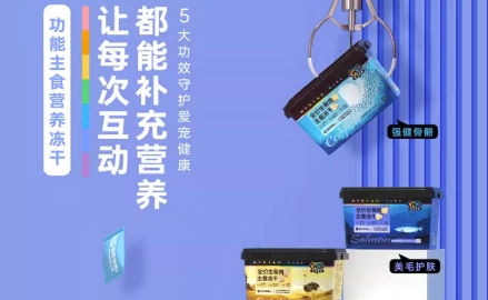 吾迪宠爱是杂牌子还是名牌