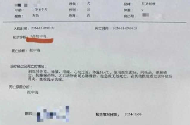 超40只宠物狗疑似中毒死亡，谁该担责？