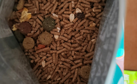 宠物本色兔粮怎么喂 宠物本色兔粮怎么喂