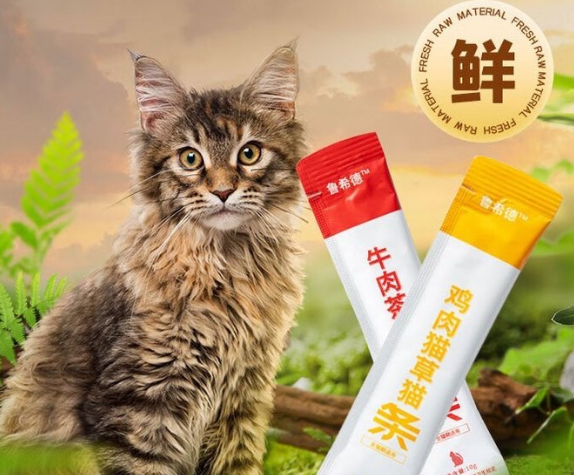 鲁希德猫条，喵星人的舌尖诱惑