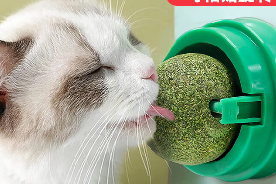 珍佑宠猫玩具多少钱 珍佑宠猫玩具多少钱