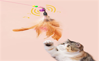 宠六一逗猫棒会让猫变暴力吗