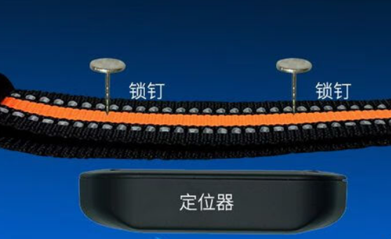 狗狗如何防丢？用聚宝源狗狗定位器