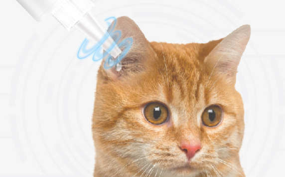 修正宠慕猫咪洗耳液怎么用 修正宠慕猫咪洗耳液怎么用