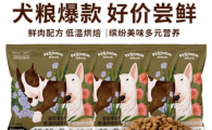 佩特兰迪狗粮：狗狗健康饮食的卓越之选