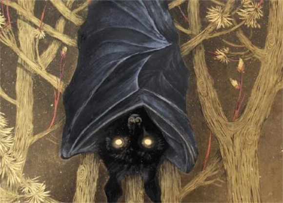 蝙蝠是怎么飞进家里的