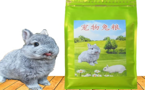 奇趣小宠
