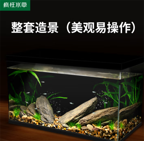 疯狂水草鱼缸过滤器怎样安装 疯狂水草鱼缸过滤器怎样安装