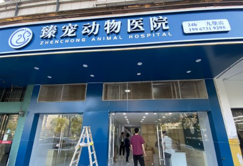 臻的物医动物医院：以爱之名，打造温馨宠物医疗家园