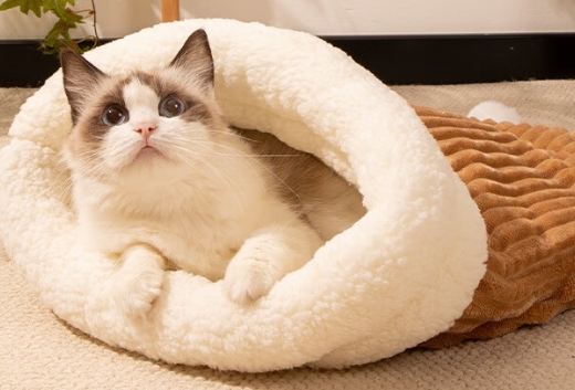 拓宠猫窝需要定期消毒吗 拓宠猫窝需要定期消毒吗