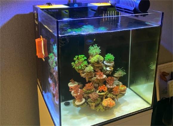 Seastar 鱼缸，量实力品牌口碑与售后保障彰显质量实力