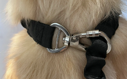 HOUYA狗牵引绳多长比较好 HOUYA狗牵引绳多长比较好
