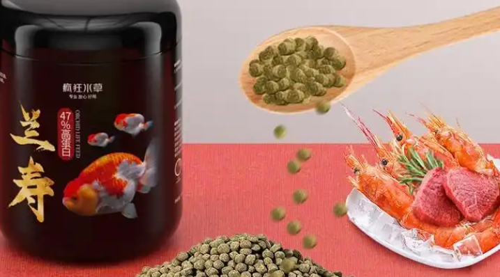 疯狂水草兰寿金鱼鱼粮怎么样 疯狂水草兰寿金鱼鱼粮怎么样