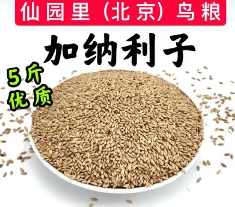 仙园里鸟粮适合什么鸟吃