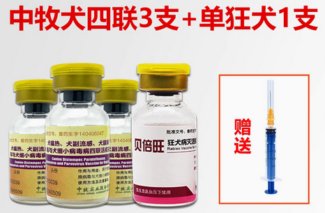 中牧宠物疫苗：国产之光，筑牢宠物健康防线