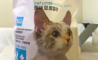 菲尼小宠猫砂：匠心品质引领养宠新体验