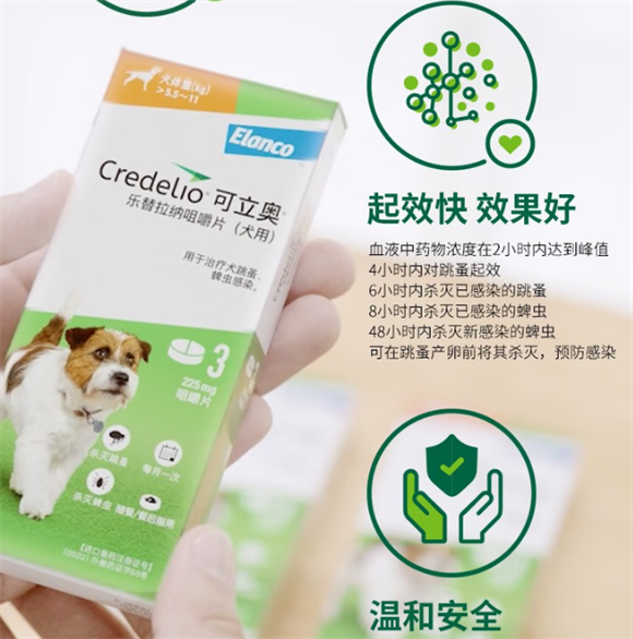 可立奥：宠物驱虫的贴心伙伴