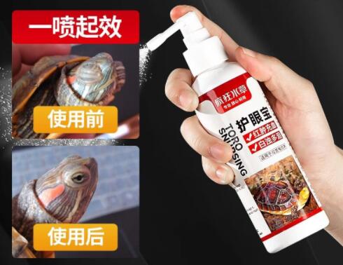 CRAZY PLANT乌龟白眼病的药怎么擦 CRAZY PLANT乌龟白眼病的药怎么擦