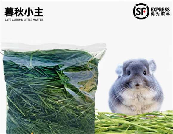 暮秋小主龙猫粮里面生小虫怎么办 暮秋小主龙猫粮里面生小虫怎么办