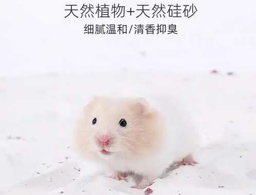 麦叮卡仓鼠浴沙和尿沙可以一起用吗 麦叮卡仓鼠浴沙和尿沙可以一起用吗