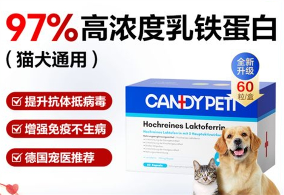 candypeti乳铁蛋白怎么喂
